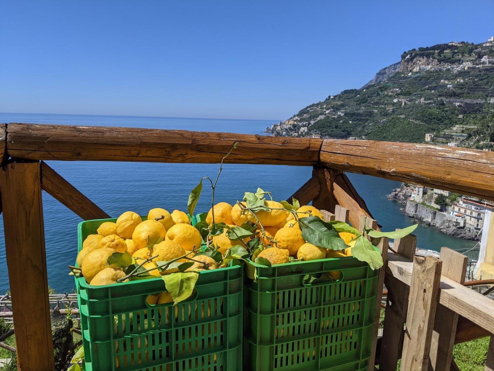 Casa Vacanze Freeholiday House Minori Exterior foto